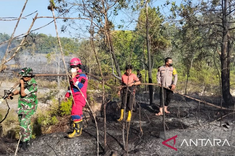 Combined task force personnel including military members, police and firefighters stand in a burnt forest area with fire suppression equipment.